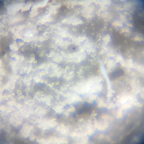 Cocaïne travaillée avec le dos d'une cuillère en métal